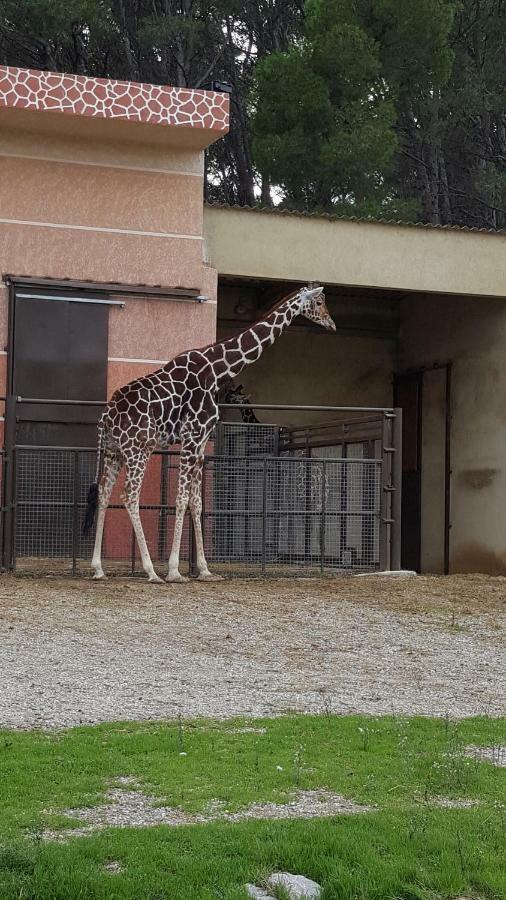 Appartement Le Flamant Rose Port-la-Nouvelle Zewnętrze zdjęcie
