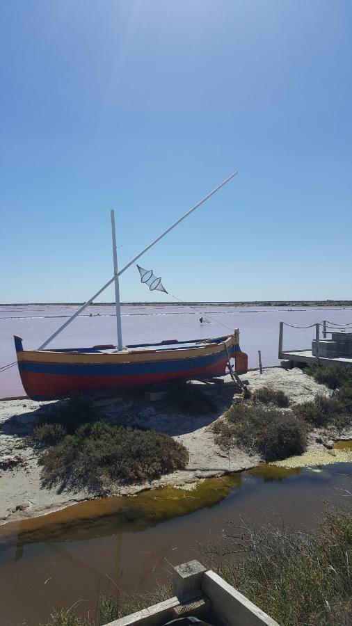 Appartement Le Flamant Rose Port-la-Nouvelle Zewnętrze zdjęcie