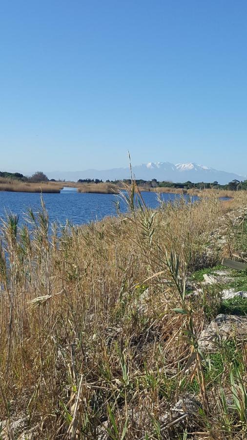 Appartement Le Flamant Rose Port-la-Nouvelle Zewnętrze zdjęcie