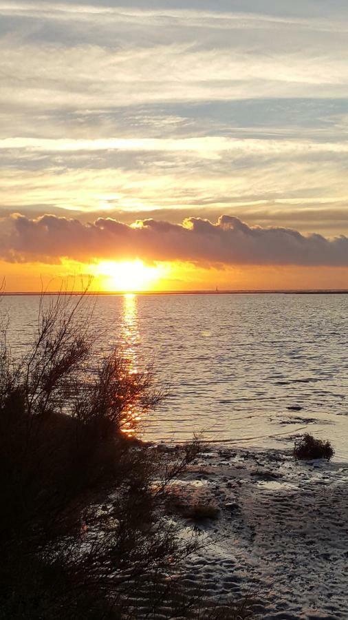 Appartement Le Flamant Rose Port-la-Nouvelle Zewnętrze zdjęcie